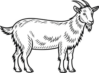 Goat Illustration Design. Single Goat Artwork. Goat Outline Drawing. Goat Line Art. Farm Goat Illustration. Goat Silhouette Design. Standing Goat Artwork. Goat Profile Outline. Minimal Goat Sketch