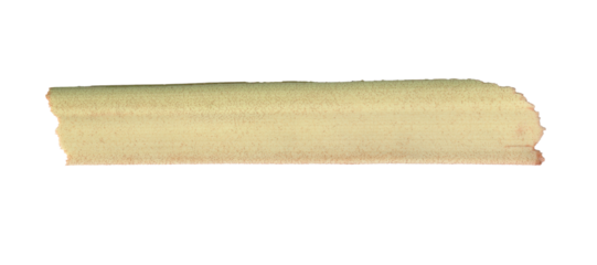 Realistic torn strip of a palm leaf stem. Speckled natural texture for banners or collage. Isolated botanical design element on a transparent background.