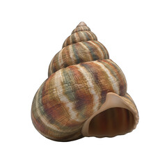 Detailed Macro 3D Rendering of a Single Spiral Seashell with Earthy Tones and Textured Surface Isolated on a Black Background