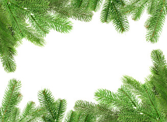 Christmas tree branches isolated on white. Frame with space for text