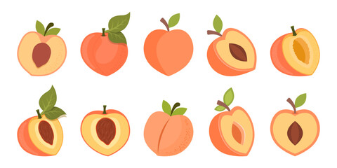 Peach fruit icon set collection in flat style. Apricot vector illustration on isolated background. Nectarine nature snack sign business concept.