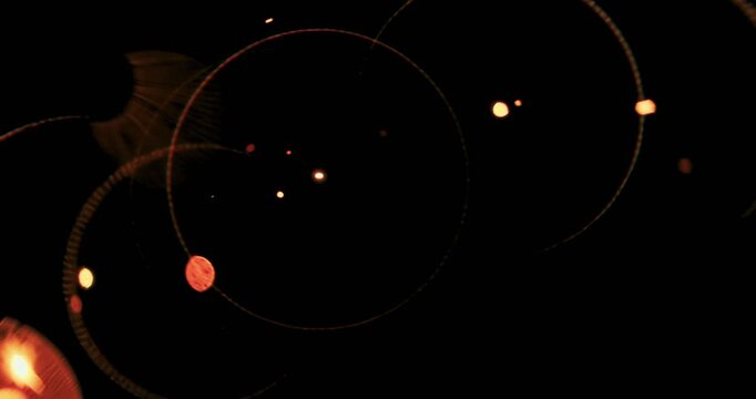 Experience a stunning metal sparkle effect with glowing particles on a deep black background, perfect for enhancing motion graphics and visual effects projects, making them captivating and appealing