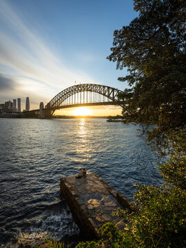 Love in the Twilight: Couple at Kirribilli with Sydney Harbour Sunset