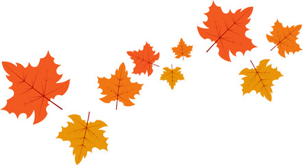  Multicolored autumn leaves in rich red, orange, and yellow hues isolated on a white background. Bright seasonal decor perfect for banners, prints, and fall-themed designs. autumn colored fall leaf te