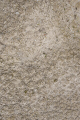 Dry Chalk-Rich Soil Texture on Quarry Shoreline with Moss and Pebbles, Belarus