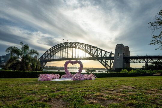 Will You Marry Me? Sunset Proposal from Kirribilli Overlooking Sydney Harbour