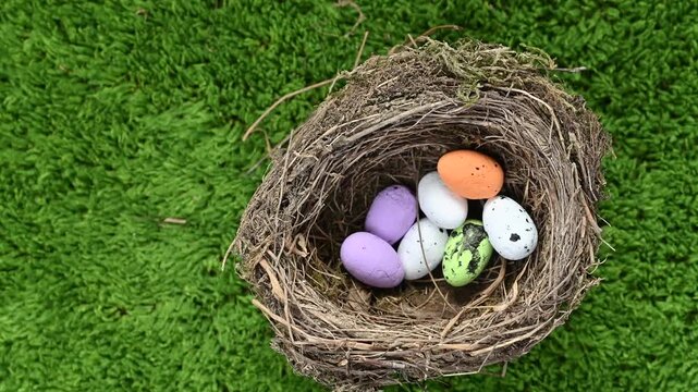 A video of Easter eggs and a bird's nest