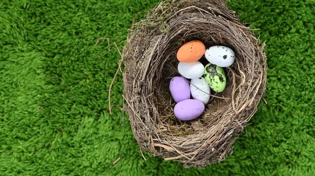 A video of Easter eggs and a bird's nest