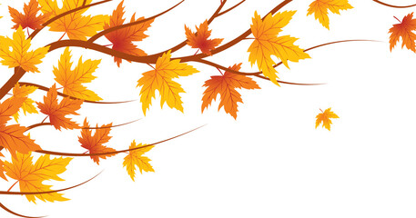 Multicolored autumn leaves in rich red, orange, and yellow hues isolated on a white background. Bright seasonal decor perfect for banners, prints, and fall-themed designs. autumn colored fall leaf tex