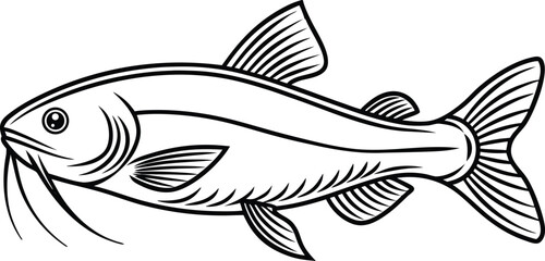 Helicopter Catfish Illustration. Flying Catfish Artwork. Catfish Outline Drawing. Helicopter Fish Graphic. Exotic Catfish Illustration Set. Aquatic Helicopter Catfish Art. Fish Species Line Art