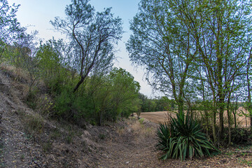 Campagne espagnole au cr&eacute;puscule &agrave; Ivorra, Catalogne, Espagne