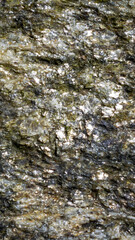 quartz stone with visible pyrite flakes. background