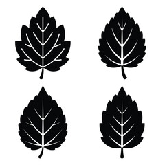 Obraz premium frost leaf silhouette clipart set