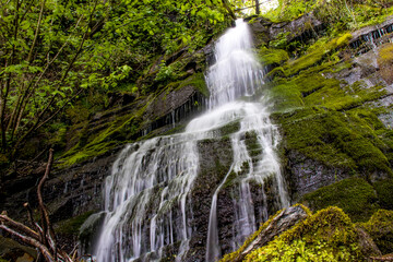 Obraz premium Beautiful waterfall falls in steps among abundant vegetation. Fervenza de Baldomir. Courel