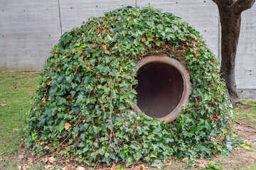 Clay pot covered by ivy forming a hideout