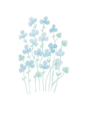 blue flowers and green leaves on white background