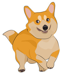 Running cute corgi – sweet cartoon dog illustration