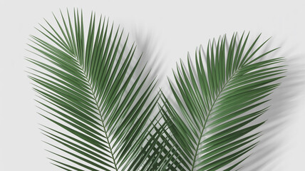 Obraz premium Two green palm leaves forming a heart shape