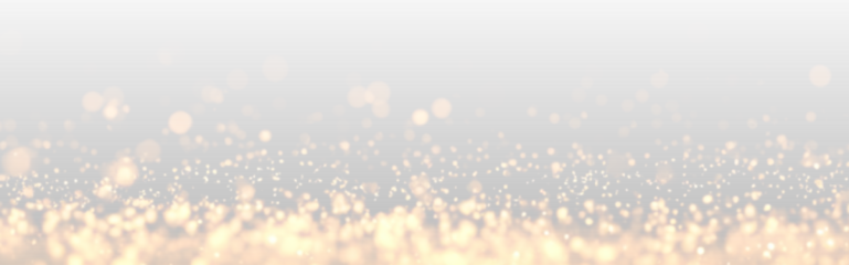 Soft golden bokeh circles sparkle gently. Tiny glitter dust shimmers delicately. Perfect luxury overlay for Christmas cards and festive graphics. PNG