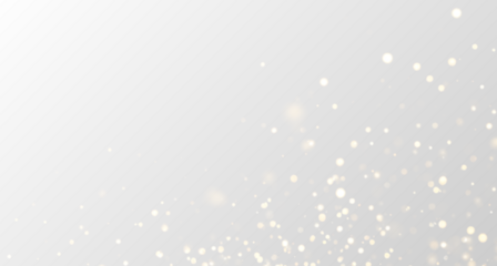 Sparkling gold dust floats across glowing bokeh circles. Tiny glitter particles shimmer gently. Perfect overlay for festive and luxury graphics. PNG