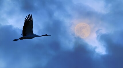 Obraz premium Majestic Crane Soars Towards Full Moon Through Cloudy Sky