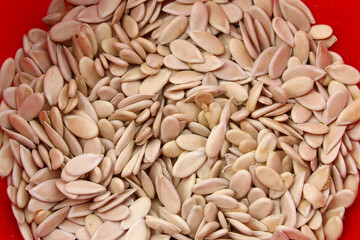 texture and background of dried melon seeds