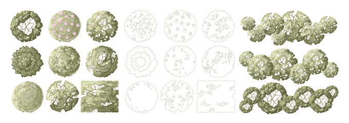 Top view trees for architectural plans and landscape design. Minimal vector illustration for urban planning, site plans, and architectural entourage.