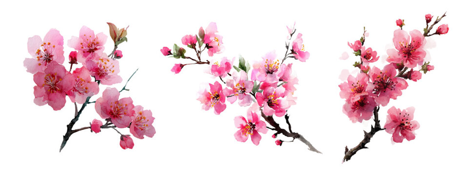 Watercolor pink sakura flowers. Branch of sakura tree with rich pink flowers. First spring flowers. Floral spring elements for cards, banners, etc. Vector illustration. - Powered by Adobe