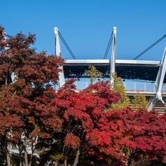 축구 경기장과 가을