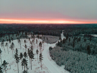 Drone view of snow-covered trees and open forest glades beneath a glowing orange sunset sky