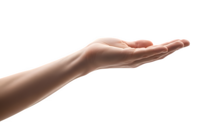 Open human hand reaching out with palm up and fingers gently curved isolated on transparent background