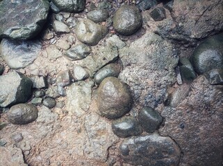 wet natural stone texture with earthy tones, smooth and rough surfaces, showing detailed shapes and arrangement of rocks on moist ground.