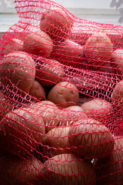 Fresh potatoes in red mesh bag