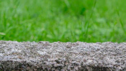Rough stone podium table top floor on outdoors blurred grass background.