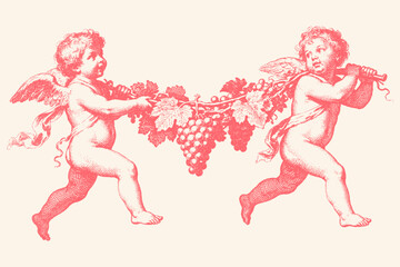 Obraz premium Two vintage cupids or angels carry a large grapevine. Classic hand-drawn illustration in an antique engraving style, isolated vector for romantic design.