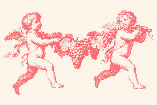 Two vintage cupids or angels carry a large grapevine. Classic hand-drawn illustration in an antique engraving style, isolated vector for romantic design.