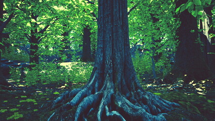 Fototapeta premium A large tree stands tall in the forest surrounded by lush green leaves. Its thick roots spread wide across the ground, blending with the emerald foliage. Sunlight filters through the trees.