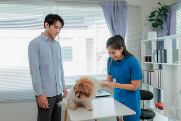 Indoor veterinary clinic with dog, vet, and owner during pet health consultation and treatment.
