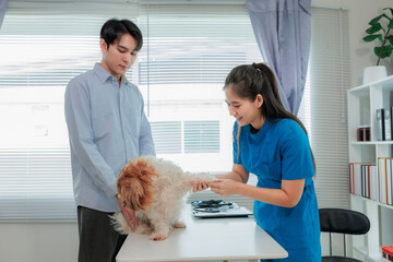Indoor veterinary clinic with dog, vet, and owner during pet health consultation and treatment.