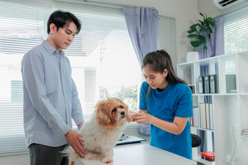 Indoor veterinary clinic with dog, vet, and owner during pet health consultation and treatment.