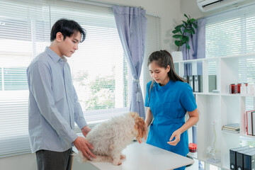 Indoor veterinary clinic with dog, vet, and owner during pet health consultation and treatment.
