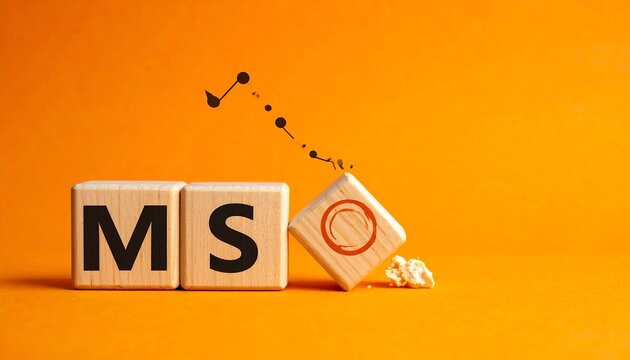 Wooden cubes spell "MSO", with one toppling over and a line of dots connecting the overturned block to the other two. Orange background