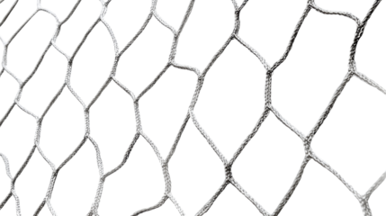Metallic wire mesh net pattern showcasing intertwined hexagonal structure creating industrial protective grid design with sharp detailed texture on white background