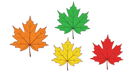 Set of four colorful autumn maple leaves in shades of red, orange, yellow, and green, illustrating the changing seasons on a white background.