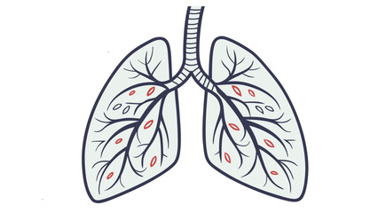 Detailed lung illustration, anatomical diagram for medical study with veins and arteries, health and respiratory system