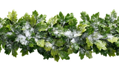 PNG Snow-dusted oak leaves garland