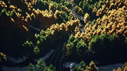 Golden and green trees fill the scene as a winding path cuts through the vibrant autumn landscape in a serene forest setting, showcasing natures beauty during the fall season.