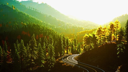 Naklejka premium A beautiful winding road snakes through a colorful forest filled with trees in shades of red, orange, and yellow. Soft sunlight bathes the mountains in a warm glow, creating a serene atmosphere.