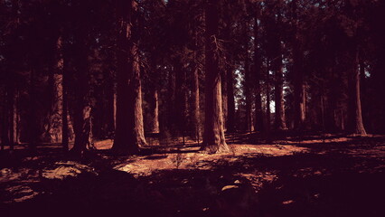 Sunlight filters through the tall, majestic trees, casting intricate shadows on the forest floor. The vibrant scene evokes peace and tranquility, inviting nature lovers to explore.