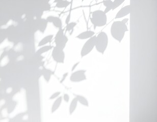 Shadowy Leaf Pattern on White Wall